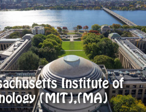 Understanding MIT (MA)